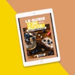 le-guide-ultime-du-plan-alimentaire-pour-la-musculation-tout-ce-que-vous-devez-savoir-pour-atteindre-vos-objectifs