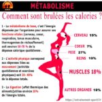 calculer-son-metabolisme-de-base-pour-optimiser-sa-musculation-conseils-et-methodes-efficaces