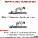 comment-muscler-le-transverse-efficacement-f09f92aaf09f94a5