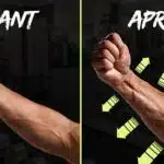 comment-muscler-ses-avant-bras-efficacement-f09f92aaf09fa494
