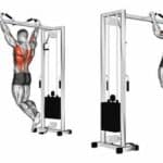 comment-optimiser-vos-seances-de-musculation-avec-une-barre-de-traction-les-exercices-incontournables-pour-renforcer-votre-dos-et-vos-bras