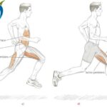 est-ce-que-courir-muscle-vraiment-f09f92aaf09f8f83f09fa494