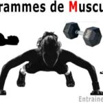 le-guide-ultime-du-programme-de-musculation-en-salle-de-sport-reponses-a-toutes-vos-questions-et-conseils-pour-des-resultats-extraordinaires