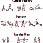 exercices-de-musculation-avec-des-elastiques-pour-un-renforcement-efficace-et-polyvalent-guide-complet