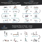 le-guide-complet-de-la-prise-de-masse-musculaire-programme-de-musculation-illustre-en-format-pdf