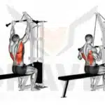 Le meilleur exercice de musculation pour renforcer votre dos : 7 mouvements efficaces à essayer dès maintenant le-meilleur-exercice-de-musculation-pour-renforcer-votre-dos-7-mouvements-efficaces-a-essayer-des-maintenant