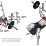 les-5-meilleurs-exercices-polyarticulaires-pour-une-musculation-efficace-guide-complet