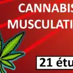 les-effets-du-cannabis-sur-la-musculation-mythe-ou-realite