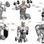les-exercices-incontournables-pour-des-epaules-sculptees-le-guide-ultime-de-la-musculation-des-epaules