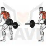 maximisez-vos-resultats-en-musculation-avec-les-barres-paralleles-un-outil-essentiel-pour-des-gains-optimaux