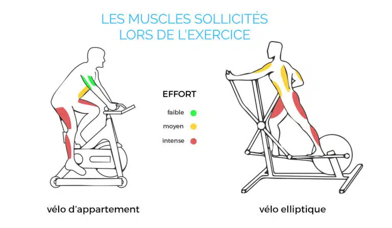 Quels muscles le vélo elliptique sollicite-t-il réellement ? 💪🚴♂️
